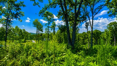 Talking Rock, GA 30175 Gilmer County