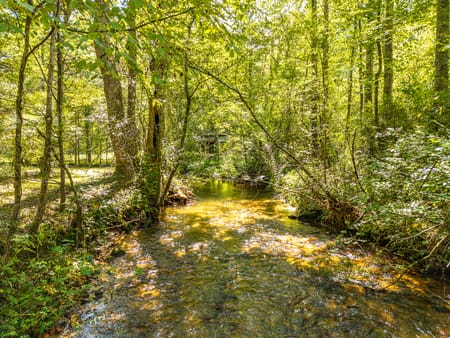 Ellijay, GA 30540 Gilmer County