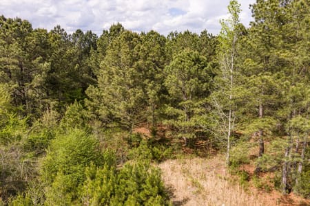 Thomson, GA 30824 McDuffie County