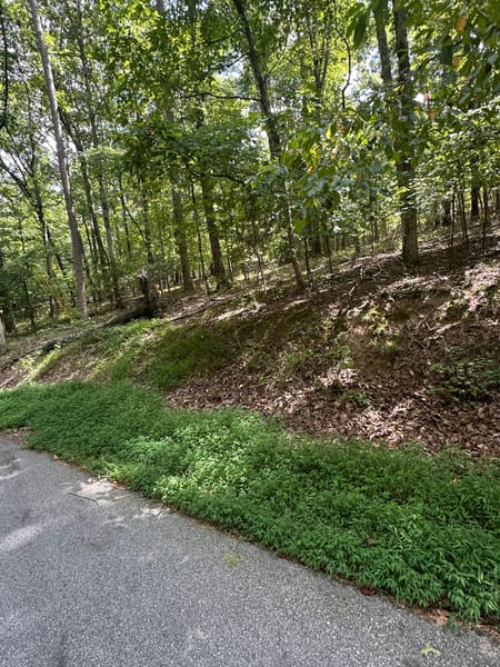 Villa Rica, GA 30180 Carroll County