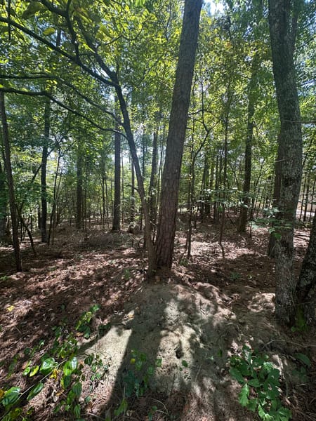 Villa Rica, GA 30180 Carroll County