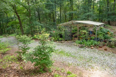 Hamilton, GA 31811 Harris County