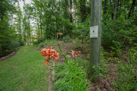 Hamilton, GA 31811 Harris County