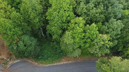 Clayton, GA 30525 Rabun County