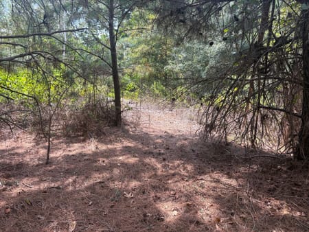 Sandersville, GA 31082 Washington County