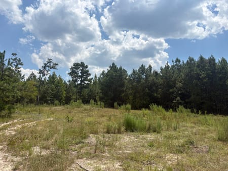 Sandersville, GA 31082 Washington County