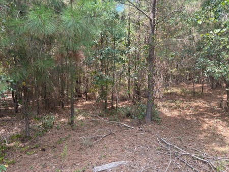 Sandersville, GA 31082 Washington County