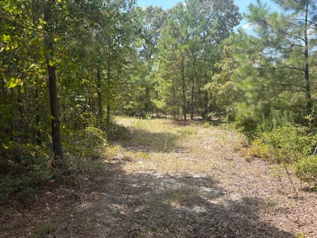 Sandersville, GA 31082 Washington County