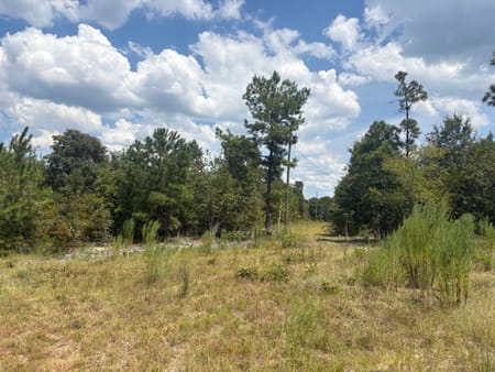 Sandersville, GA 31082 Washington County