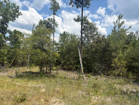 Sandersville, GA 31082 Washington County