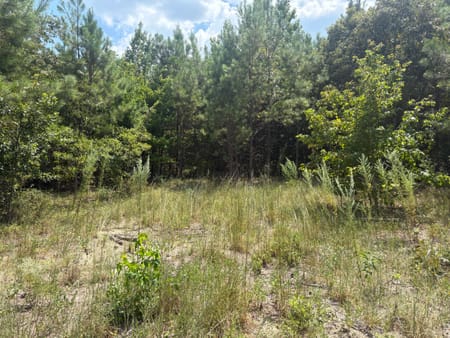 Sandersville, GA 31082 Washington County