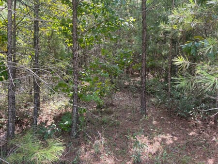 Sandersville, GA 31082 Washington County