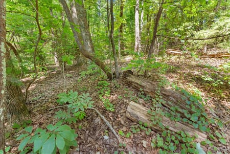 Clarkesville, GA 30523 Habersham County