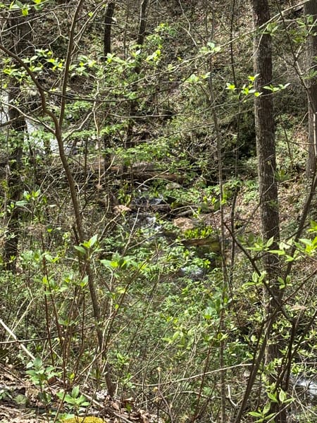Dawsonville, GA 30534 Dawson County