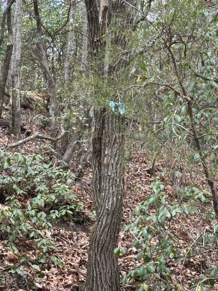 Dawsonville, GA 30534 Dawson County