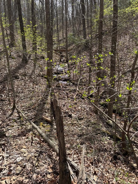 Dawsonville, GA 30534 Dawson County