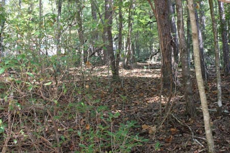 Cherry Log, GA 30522 Gilmer County