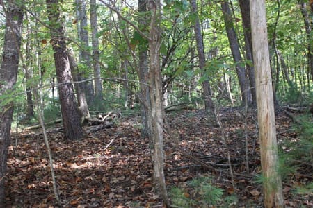 Cherry Log, GA 30522 Gilmer County