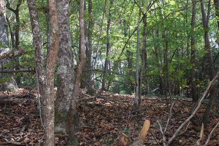 Cherry Log, GA 30522 Gilmer County
