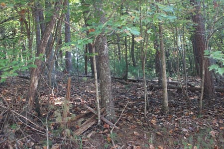 Cherry Log, GA 30522 Gilmer County