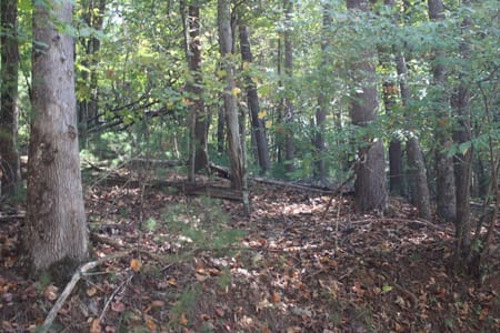 Cherry Log, GA 30522 Gilmer County