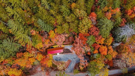 Cherry Log, GA 30522 Gilmer County