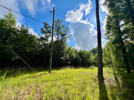 Milledgeville, GA 31061 Baldwin County