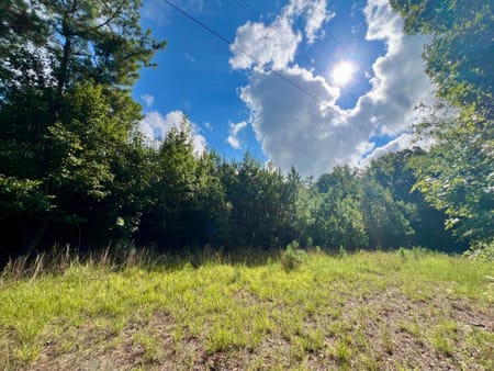 Milledgeville, GA 31061 Baldwin County