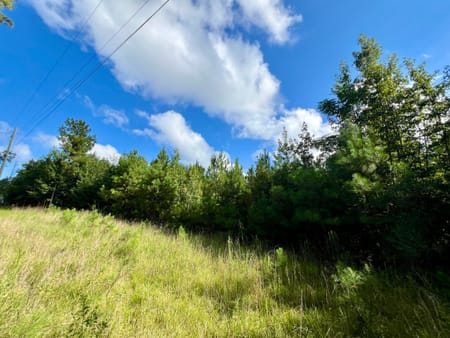 Milledgeville, GA 31061 Baldwin County