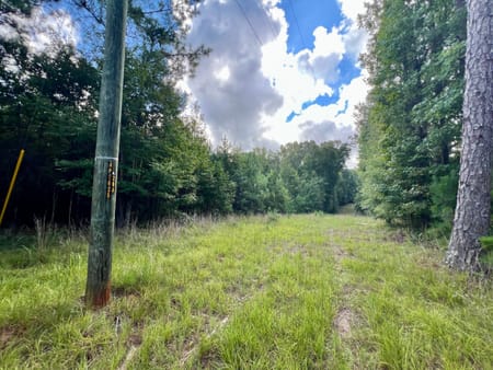 Milledgeville, GA 31061 Baldwin County