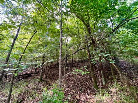Milledgeville, GA 31061 Baldwin County
