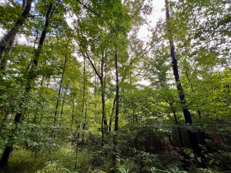 Milledgeville, GA 31061 Baldwin County