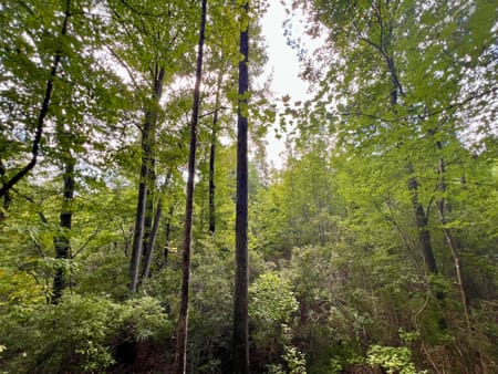 Milledgeville, GA 31061 Baldwin County