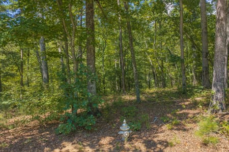 Ellijay, GA 30540 Gilmer County