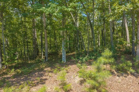 Ellijay, GA 30540 Gilmer County