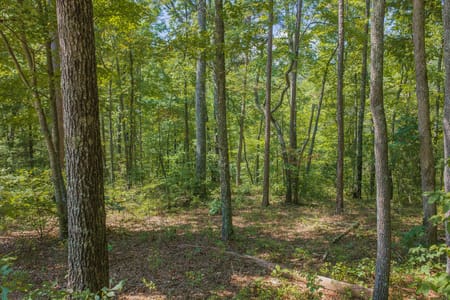 Ellijay, GA 30540 Gilmer County