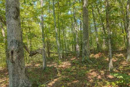 Ellijay, GA 30540 Gilmer County