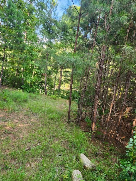 Newborn, GA 30056 Newton County