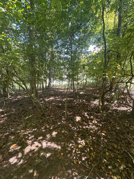 Villa Rica, GA 30180 Carroll County