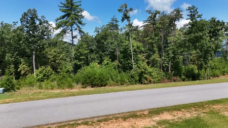 Sautee Nacoochee, GA 30571 White County
