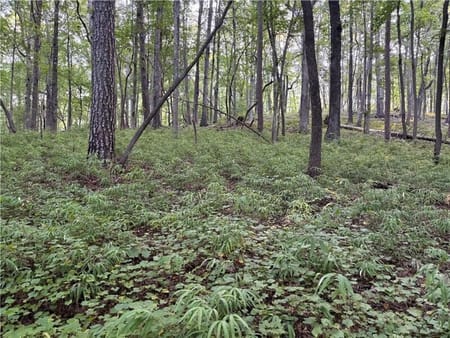 Dahlonega, GA 30533 Lumpkin County
