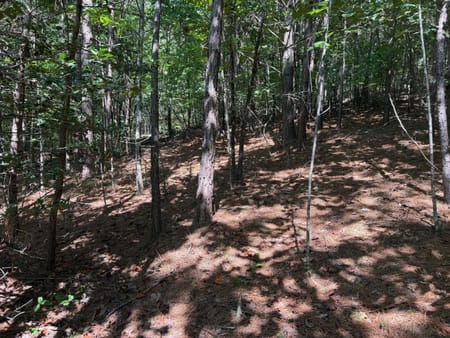 Blairsville, GA 30512 Union County