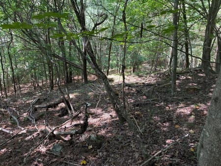 Blairsville, GA 30512 Union County