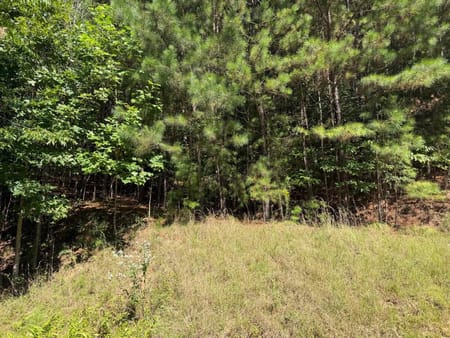 Blairsville, GA 30512 Union County