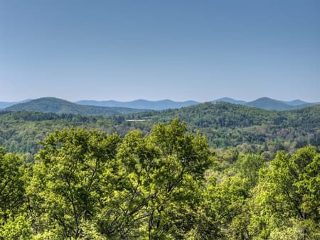 Morganton, GA 30560 Union County