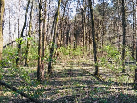 Dalton, GA 30721 Whitfield County