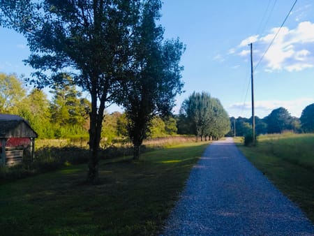 Dalton, GA 30721 Whitfield County