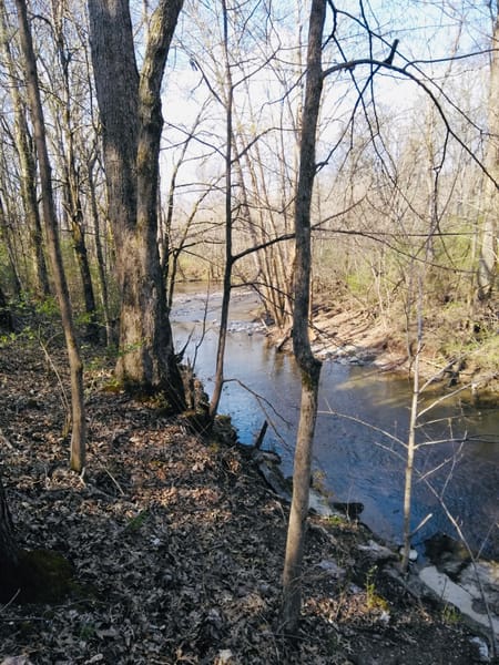 Dalton, GA 30721 Whitfield County