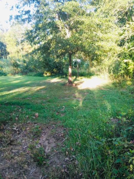 Dalton, GA 30721 Whitfield County