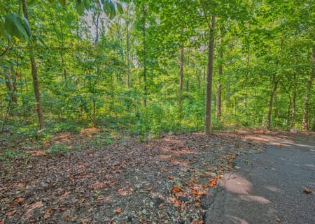 Martin, GA 30557 Stephens County